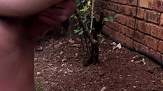 Enjoying Using the Inside and the Outside of the House as My Toilet, Piss Compilation