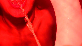 A New Human Toilet with Private Flush V 08/12/2023