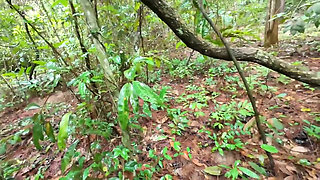Thai Teenager Walks around Picking Mushrooms and Gets Fucked in the Pussy. Thai Audio