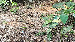 Silent beauty of my garden