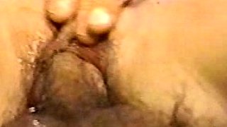 Hardcore Vintage Pussy Licking And Sex