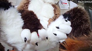 Amateur hooker pounded hardcore in her slit in the sex bus