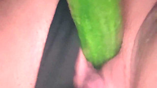 Cucumber Planting Lesson