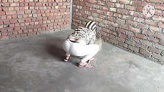 Neighbor Uncle Fucks Indian Maid Sister-in-Law's Big Tits While She Cleans House POV HD