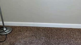 Close Up Fuck Cumshot