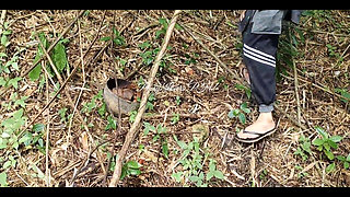 Pinay Stepsister Fucks Stepbrother's Penis in the Forest