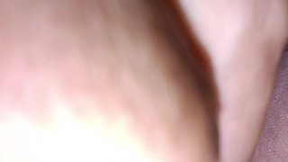 Pussy Close-up