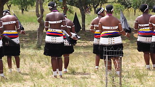 Busty African women topless dance 2