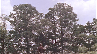 Diary of a Nudist (1961) - Restored & Remastered in 4K