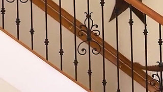 Big Tits Latina Maid Busted Masturbating Has to Polish Huge Cock