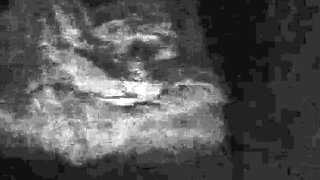 Couple amateur hidden cam my bitch