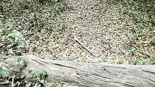 While out for a walk in the public park with my stepsister, I find her naked.