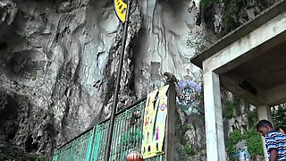 Hardcore big cock cumshot sex videos