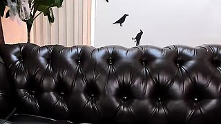 Fatty girl who loves big cocks warms up for a hardcore sex