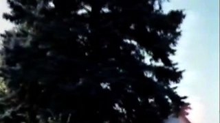 Amateur Brunette Showing Her Pussy Cam Free Porn