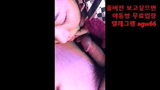 Korean couple have sex