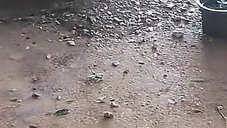 My Step Daughter Before Being Seduced