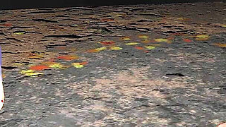 Sexy Redhead Daphne Pounded by a Big Old Cock