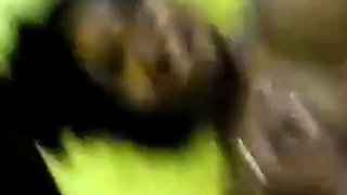 Krishanthika's Amateur Sri Lankan Adventure