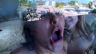 Let the Cock Party Begin