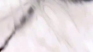 Big boobs milf masturbates with her dildo