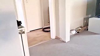 Innocent Petite Maid With Big Ass Get Stuck, Tied Up And Creampied