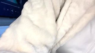 Tasty Pantyhose Babe in Kinky Solo Webcam Show