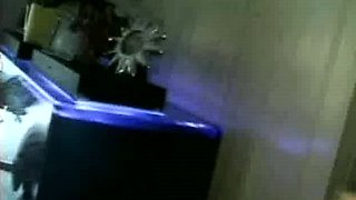 POV blowjob cumshot compilation