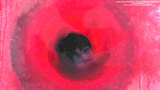 B061 Vaginal Phagocytosis Two Women Manipulate a Man Shrunk to the Size of a Toy in an Extremely Dominant Manner.