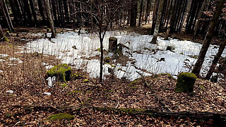 Outdoor Forest Fun - Wet Handjob, Deep Blowjob and Risky Doggy Fuck