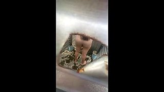 Amateur Latina Outdoor Fuck - Big Ass Roccoluton & Esperanzitaluton in Uncensored Voyeur HD