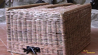 Naughty gal got herself trapped under a basket and disciplined in missionary