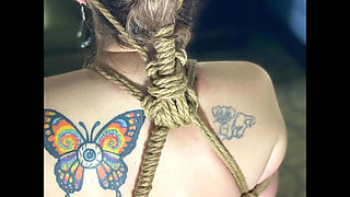 Panties, Pussy and Solo Compilation