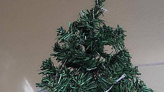 Xmas Pee Compilation
