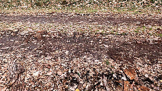 Naked Breasts Punished on the Forest Path