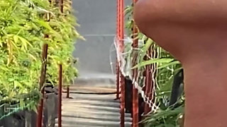 Eager Piss & cum swallowing submissive gilf