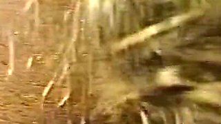 Hardcore Punishment Sex with Dildo and Orgasm