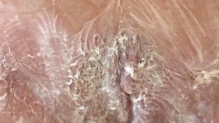 Sexy Pussy in Close up