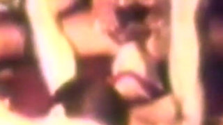 Disgusting Wild Sluts