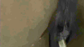 In the Toilet Farting Pissing Compilation