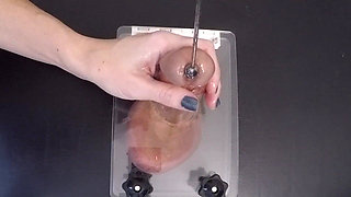 Clearing the Urethra Results in Copious Sperm Flow