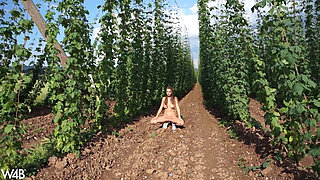 In Czech Agriculture