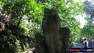 Monkey business and couple intercourse at home