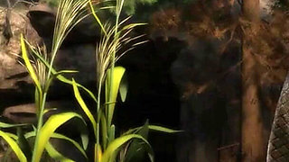 The Genesis Order V61021 Part 172 Threesome and Foursome Wtf! by Loveskysan69