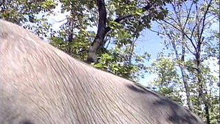 Blonde blowjob adoring skank facialized after hardcore fun