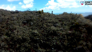 Mermaid Spotted! Wet Encounter in Lost Cove