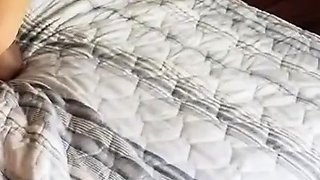 N2 The Gene Pool Black and Ebony