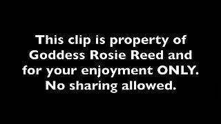 Payer Not a Player- Financial Dominatrix Goddess Rosie Reed Humiliates Loser Cash Slaves for More Tributes- Ebony Financial Dom