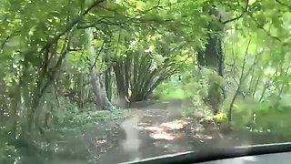 elle améne une copine sucer un inconnu