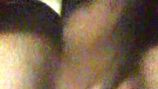 the best of the clips